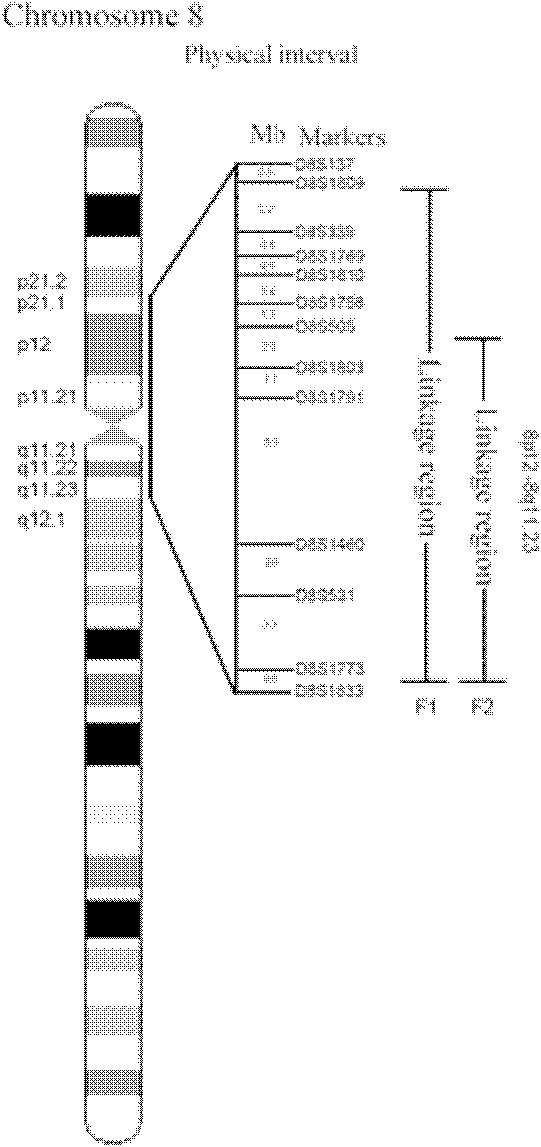 Human idiopathic basal ganglia calcification disease-causing gene and coding protein thereof