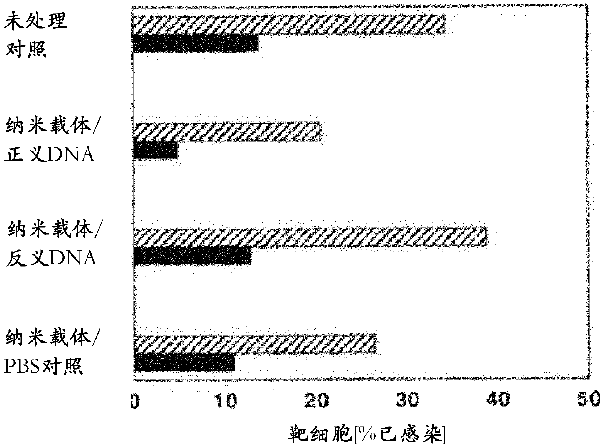 Targeted Nanocarriers For Targeted Drud Delivery Of Gene Therapeutics