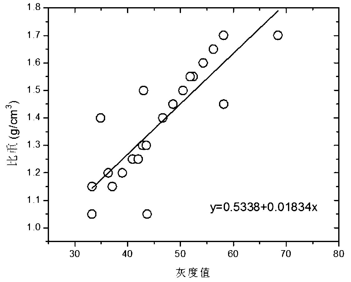 Microbial aggregate quantitative microscopic imaging testing and evaluating method