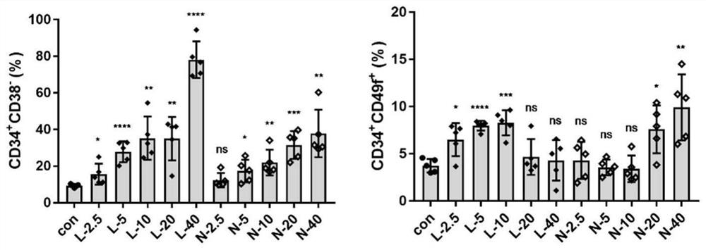 Application of levistilide A in preparation of medicine for in-vitro amplification of human hematopoietic stem cells