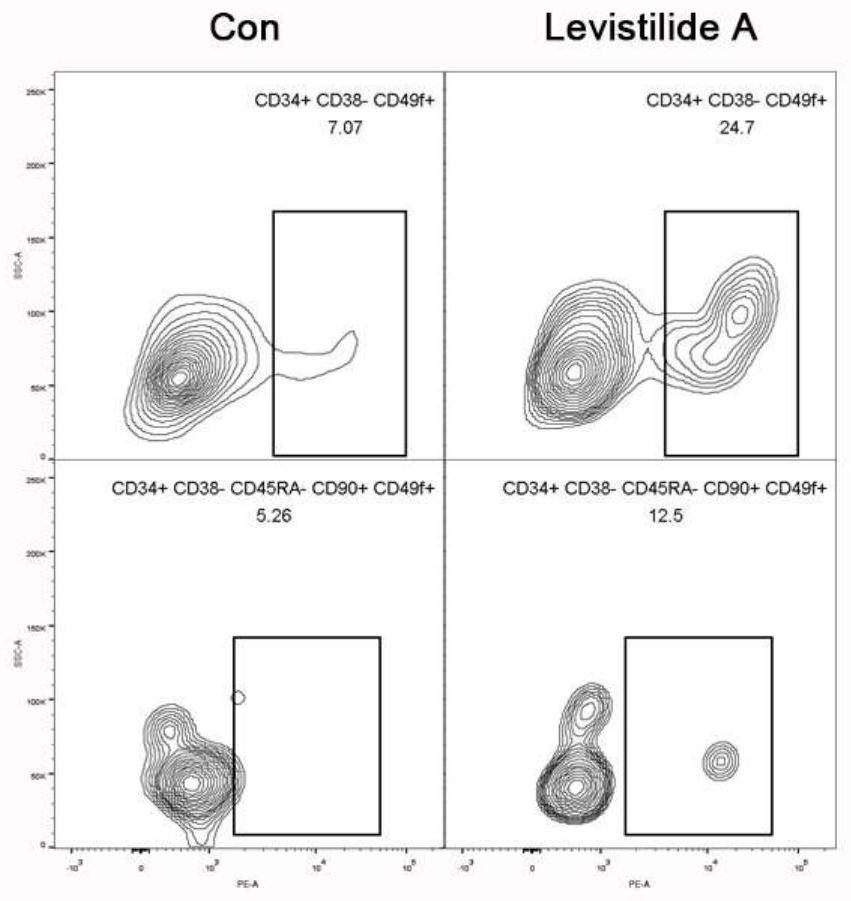 Application of levistilide A in preparation of medicine for in-vitro amplification of human hematopoietic stem cells