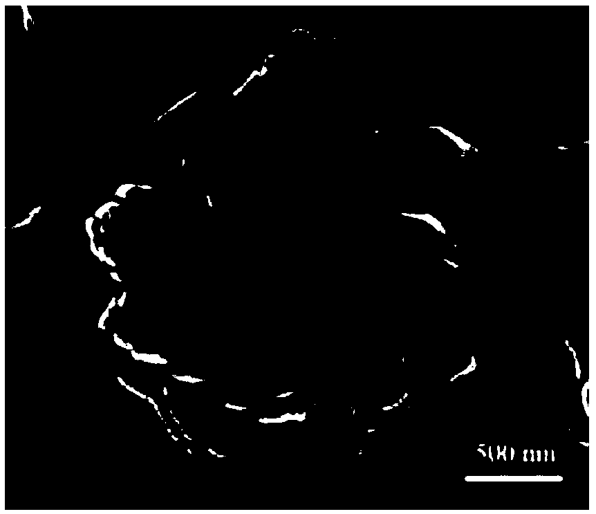 Preparation method of flower-shaped nano-silver powder self-assembly structure