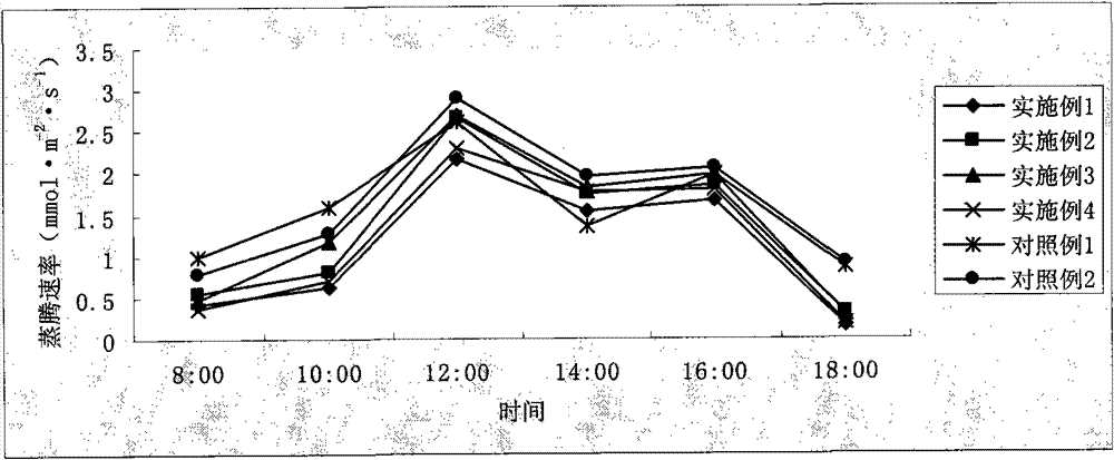 Antitranspirant foliar fertilizer and preparation method thereof