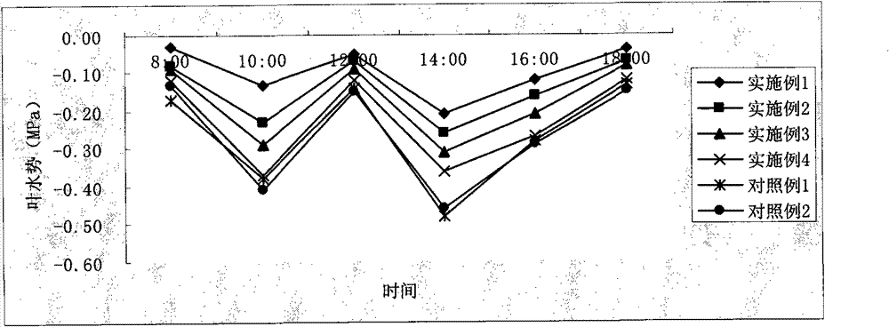 Antitranspirant foliar fertilizer and preparation method thereof