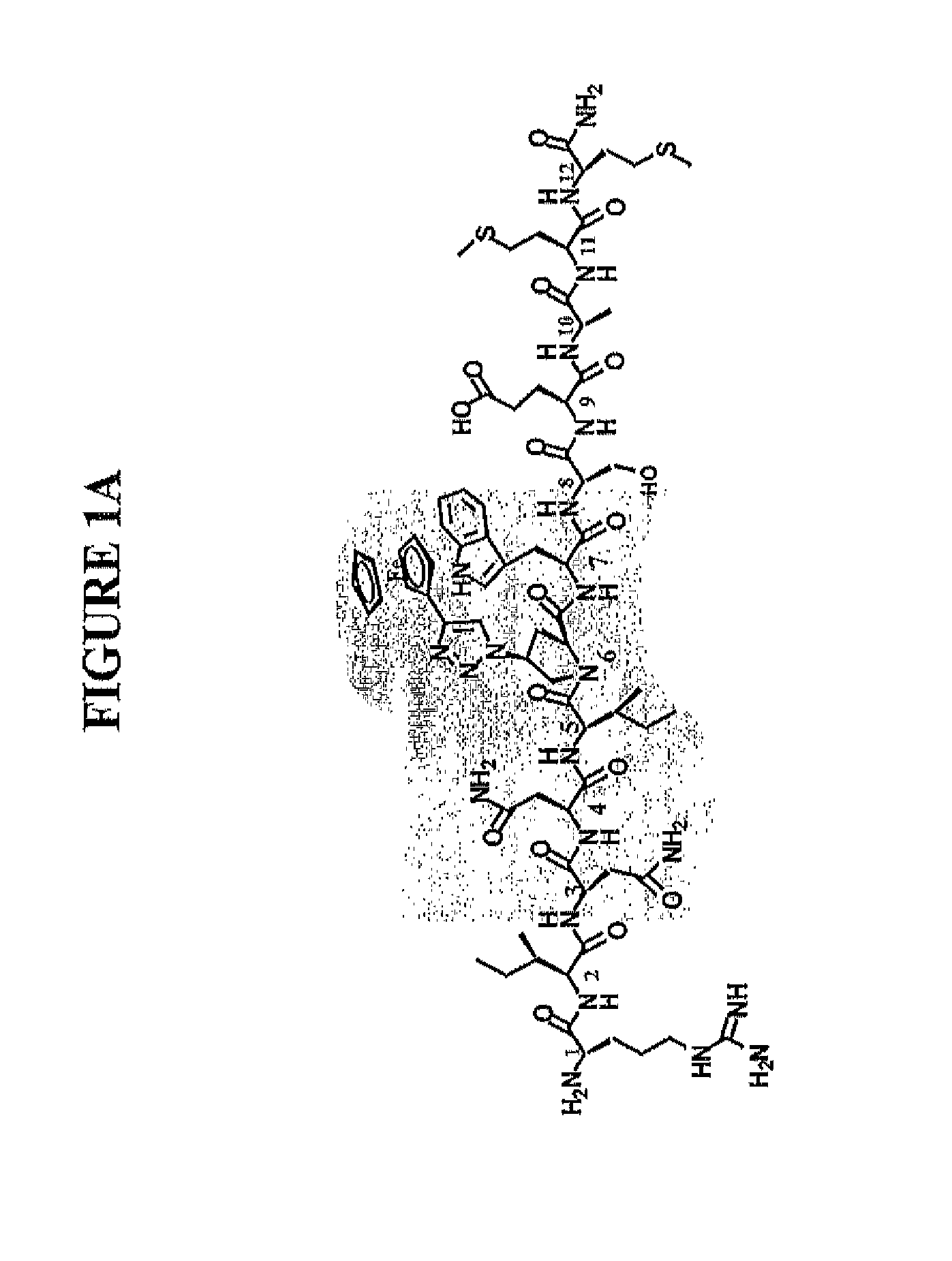 Active Cores of Peptide Triazole HIV-1 Entry Inhibitors