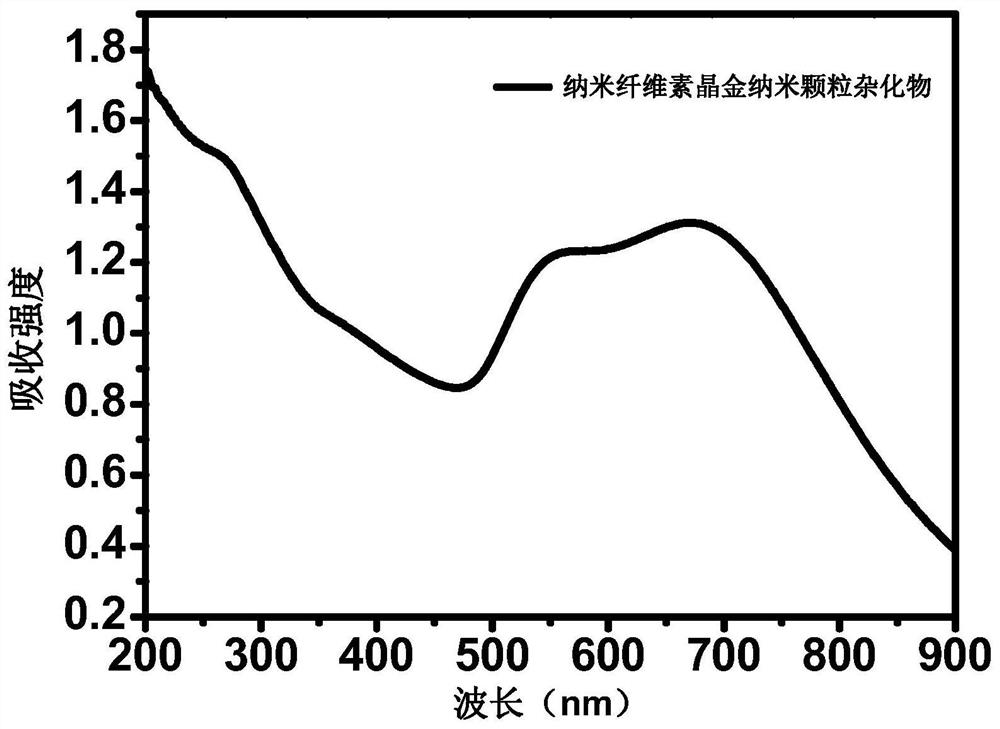 Organic-inorganic hybrid multifunctional biological material based on nanocellulose crystals and preparation method and application thereof