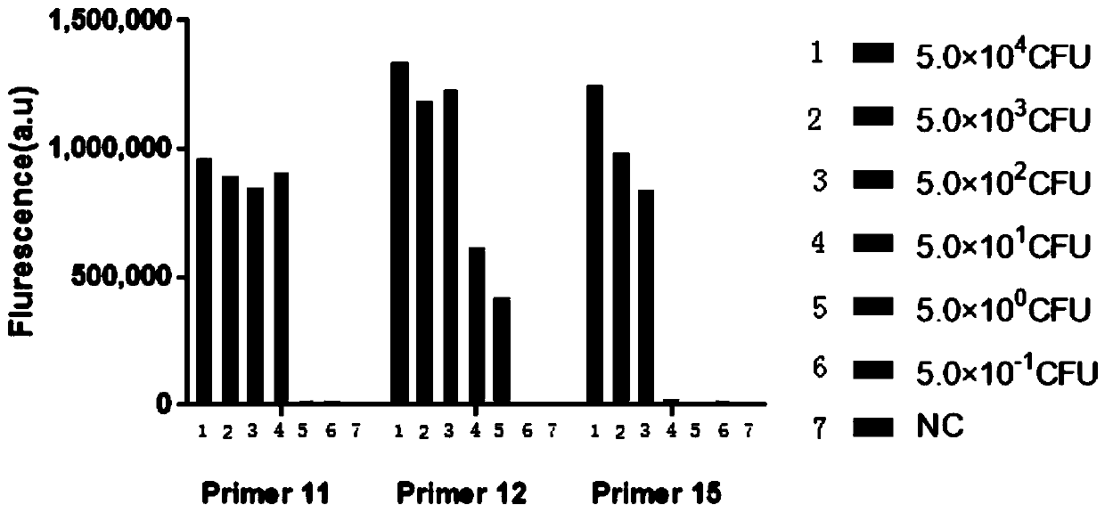 CRISPR detection primer set for MTBC (Mycobacterium Tuberculosis Complex) and use thereof