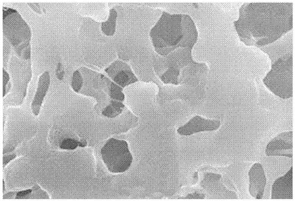 Graphene filter composite membrane and preparation method thereof