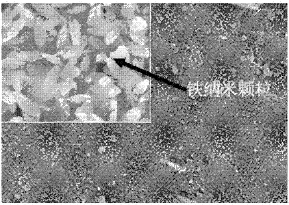 Graphene filter composite membrane and preparation method thereof