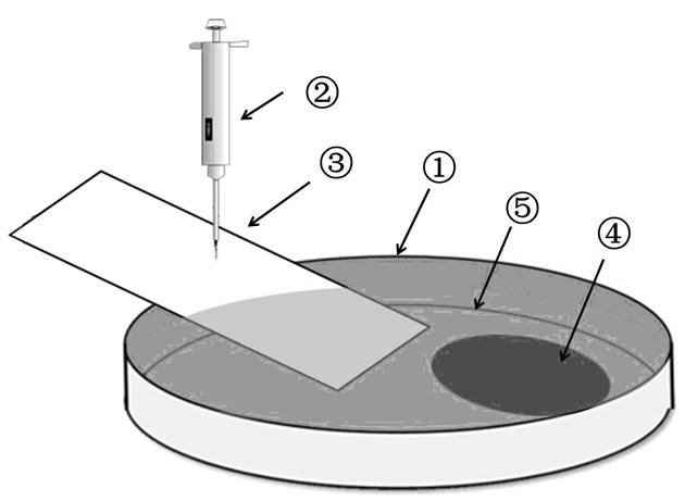 Preparation method for small silicon-based nano hollow array with orderly heights