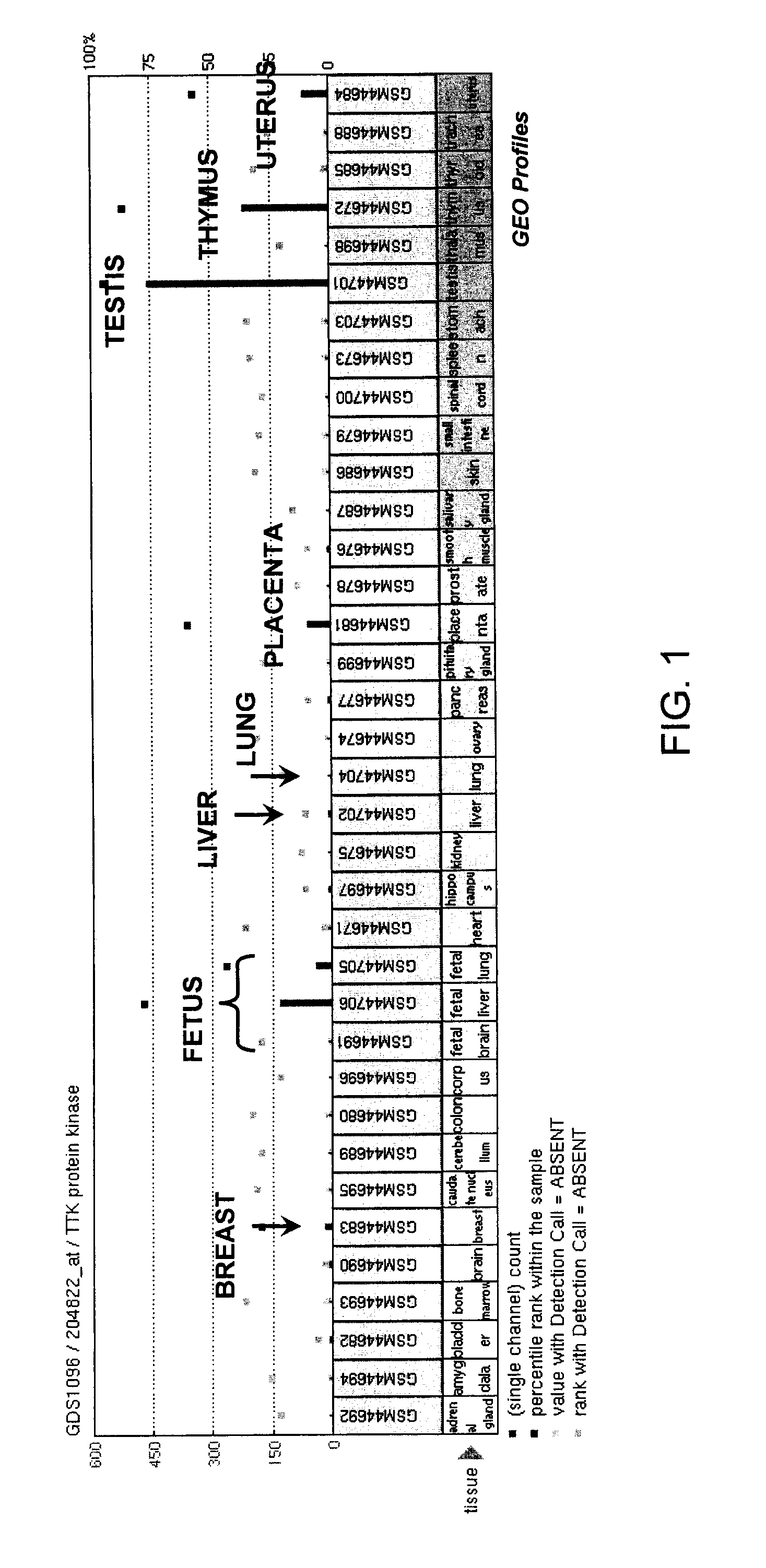 Methods of inhibiting tumor growth using ttk antagonists