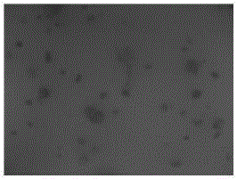 Sulfur particle flocculating agent applicable to iron-based desulfurizing solution