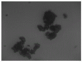 Sulfur particle flocculating agent applicable to iron-based desulfurizing solution