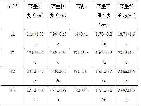 A kind of Chinese cabbage hydroponic method