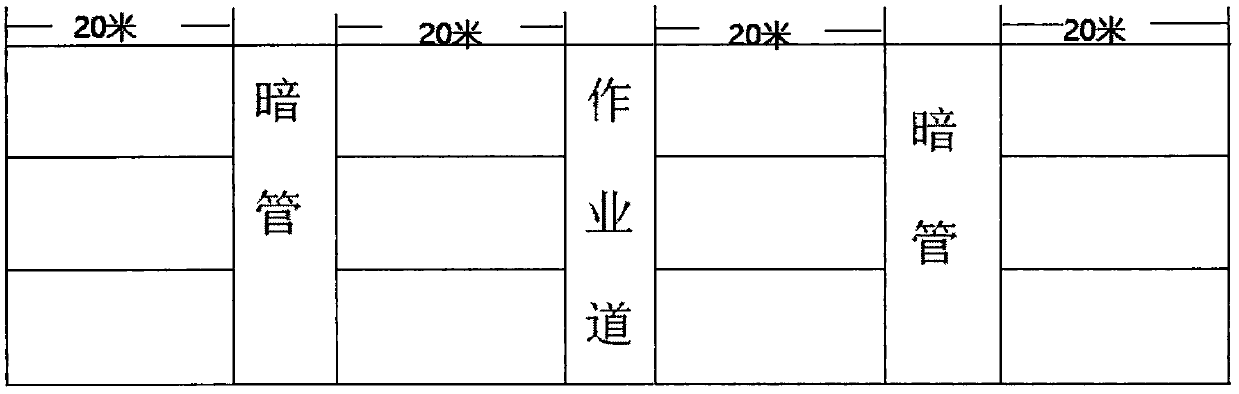 Rapid construction method for salt-tolerant economical vegetation in muddy coastal severe saline-alkali land based on discharging salts by underground pipes