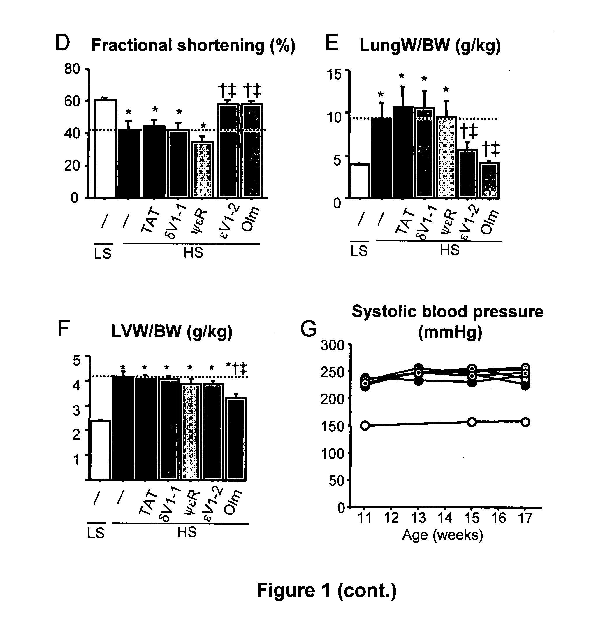 Method of preventing progression of hypertension-induced heart failure with PKC peptides