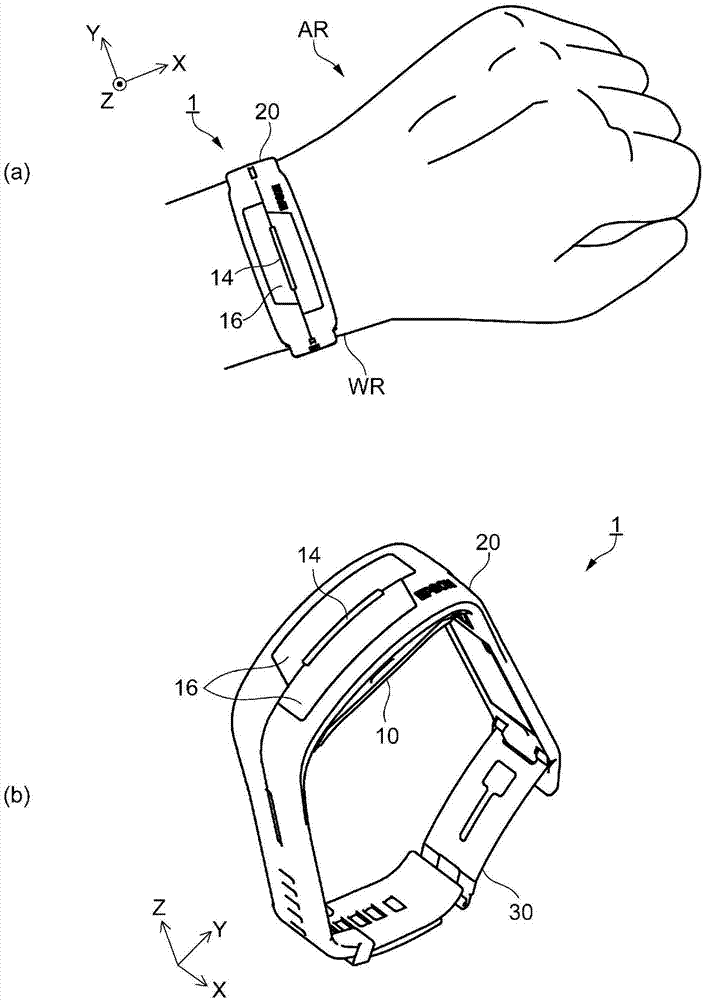 Biometric information measuring apparatus