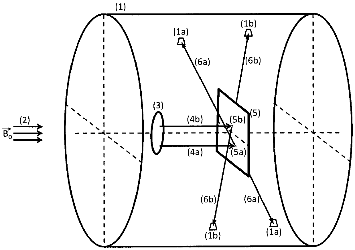 Method and device for the two-dimensional imaging of a positron emitter distribution of weakly positron-absorbing objects