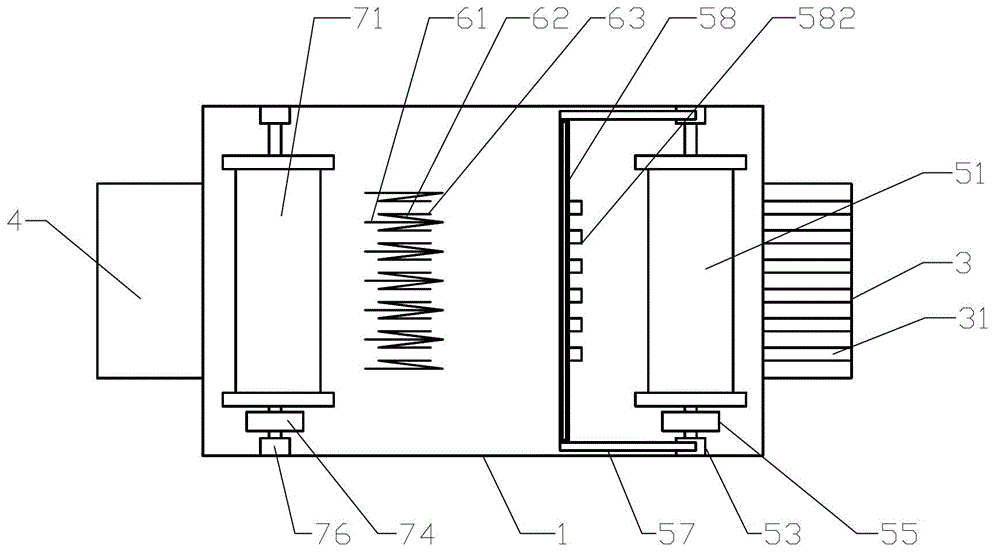 Platycodon grandiflorum peeler