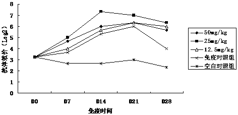 Preparation and use method of ganoderan Chinese medicine immunoenhancer