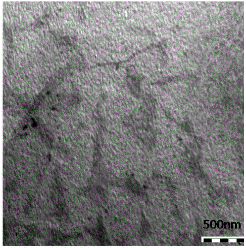 Functional graphene oxide loaded nano-silver antibacterial material as well as preparation method and application thereof