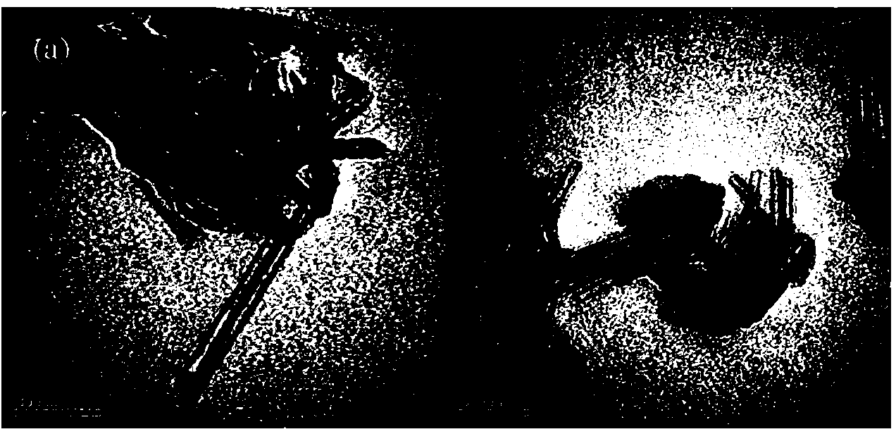 Environment-friendly rosin-modified phenolic resin and preparation method thereof