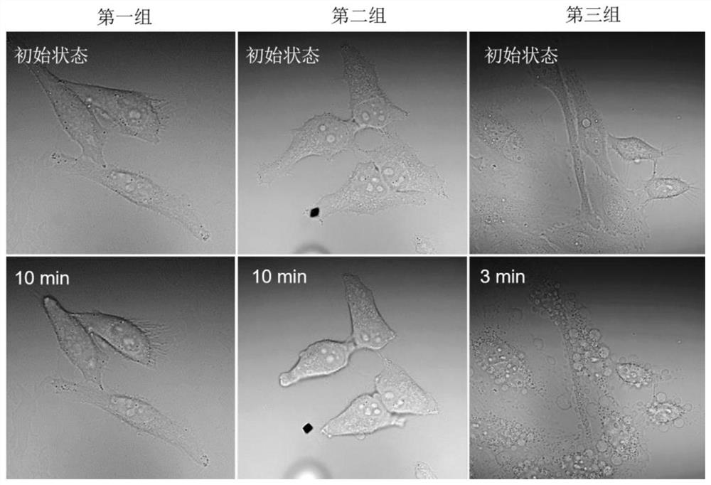 Porphyrin tetraazacyclo-based light-controlled pyroptosis material as well as preparation method and application thereof