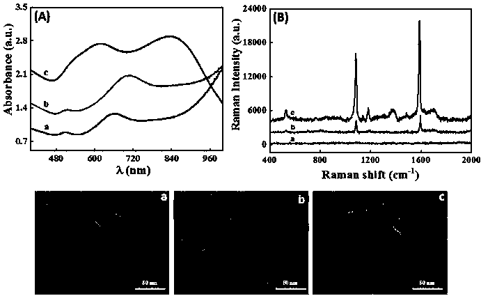 Method for detecting ochratoxin A based on SERS