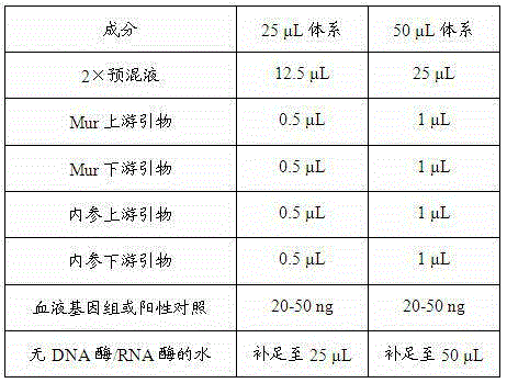 Reagent and detection method capable of specifically detecting Mur antigen gene