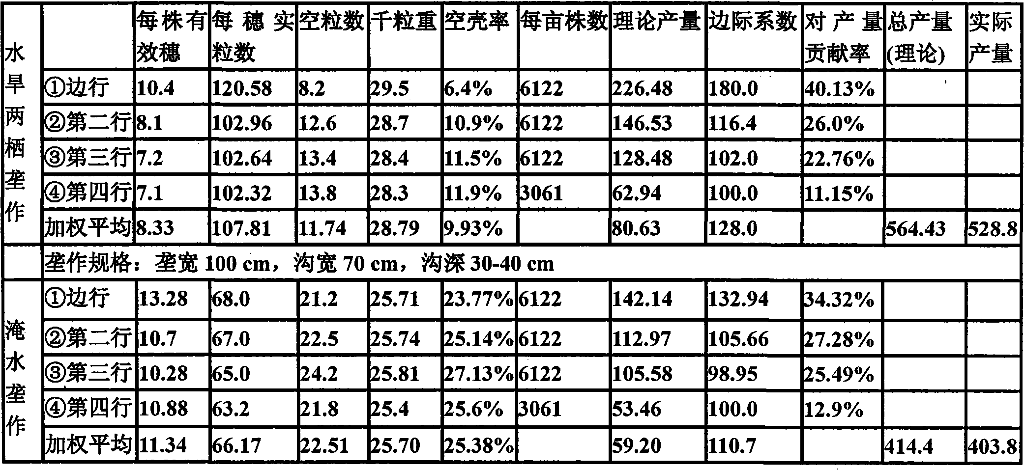 Aquatic and dry amphibious planting method for rice