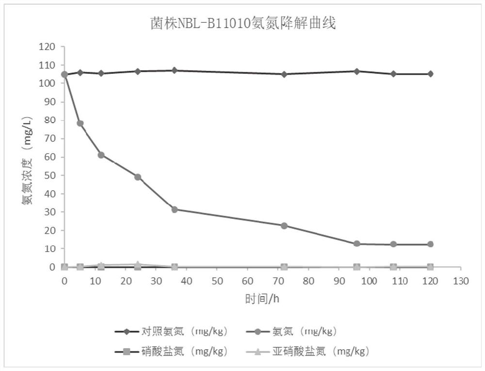 Cellulose degradation strain with sewage ammonia nitrogen degradation capacity and application thereof