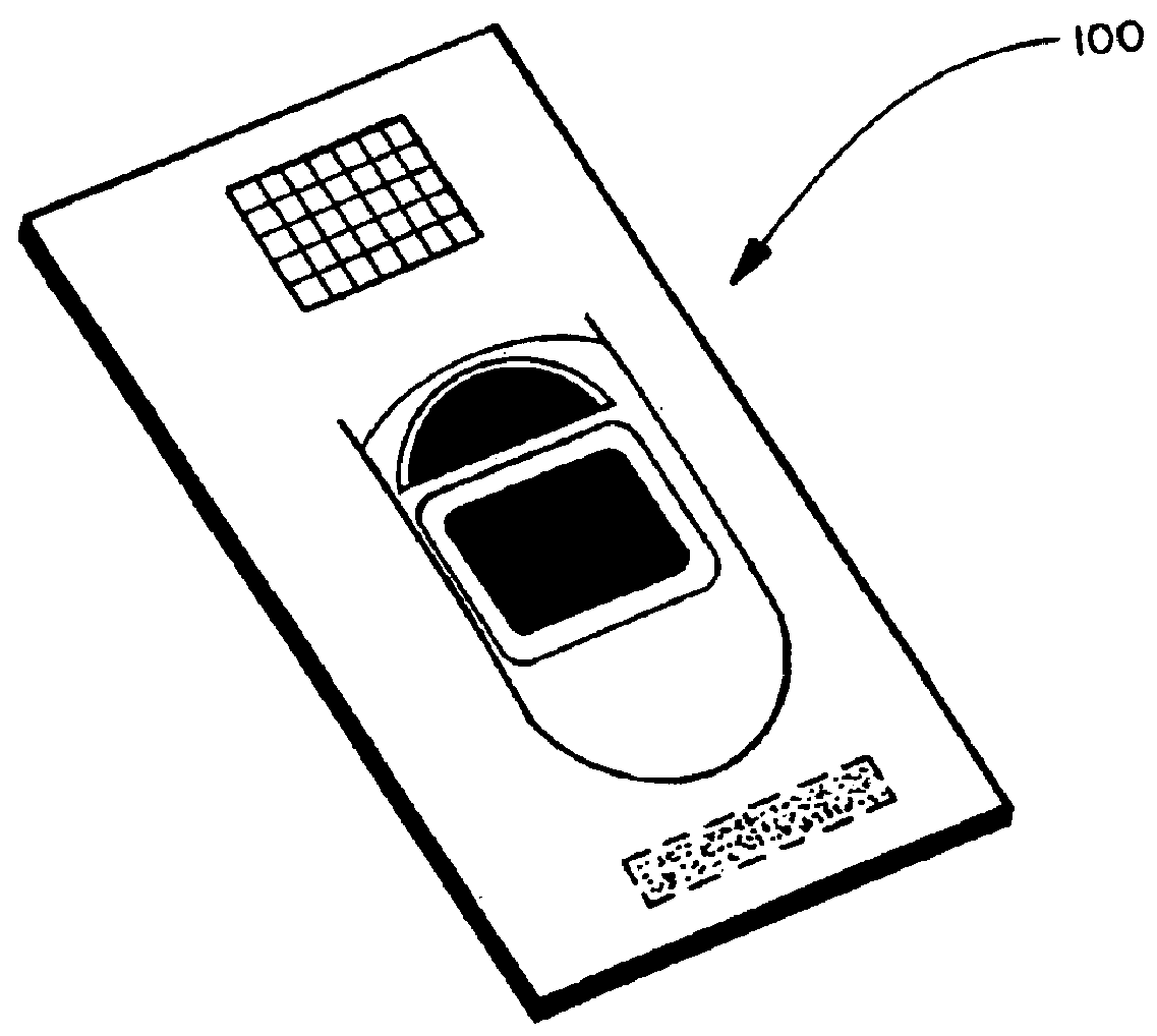 Biometric personal identification credential system (PICS)