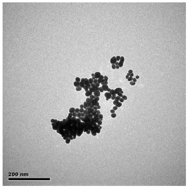 Detection method of polybromodiphenyl ether