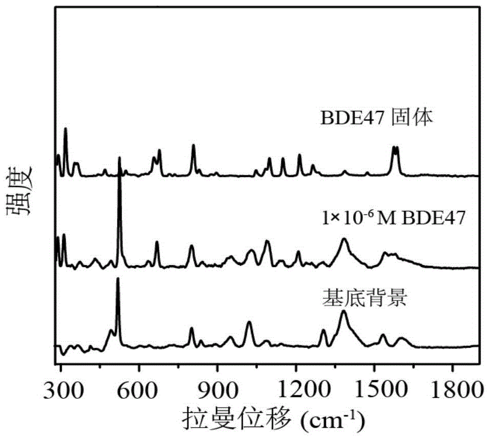 Detection method of polybromodiphenyl ether