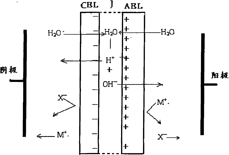 Bipolar membrane acid-base liquid generating device for chromatographic technology