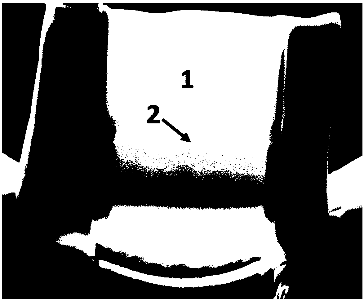 Molybdenum-silver laminar composite material and preparation method and application thereof