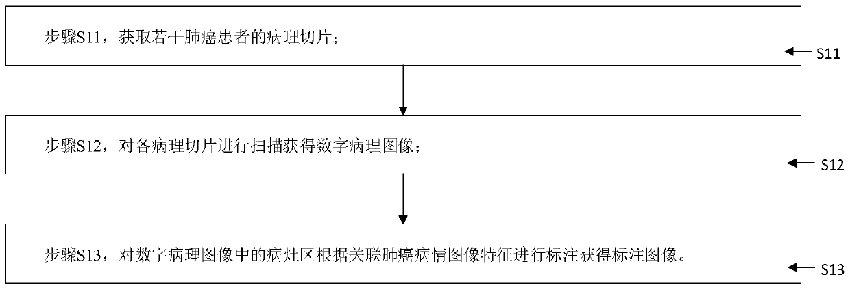 Prognosis prediction system and method for lung cancer patients