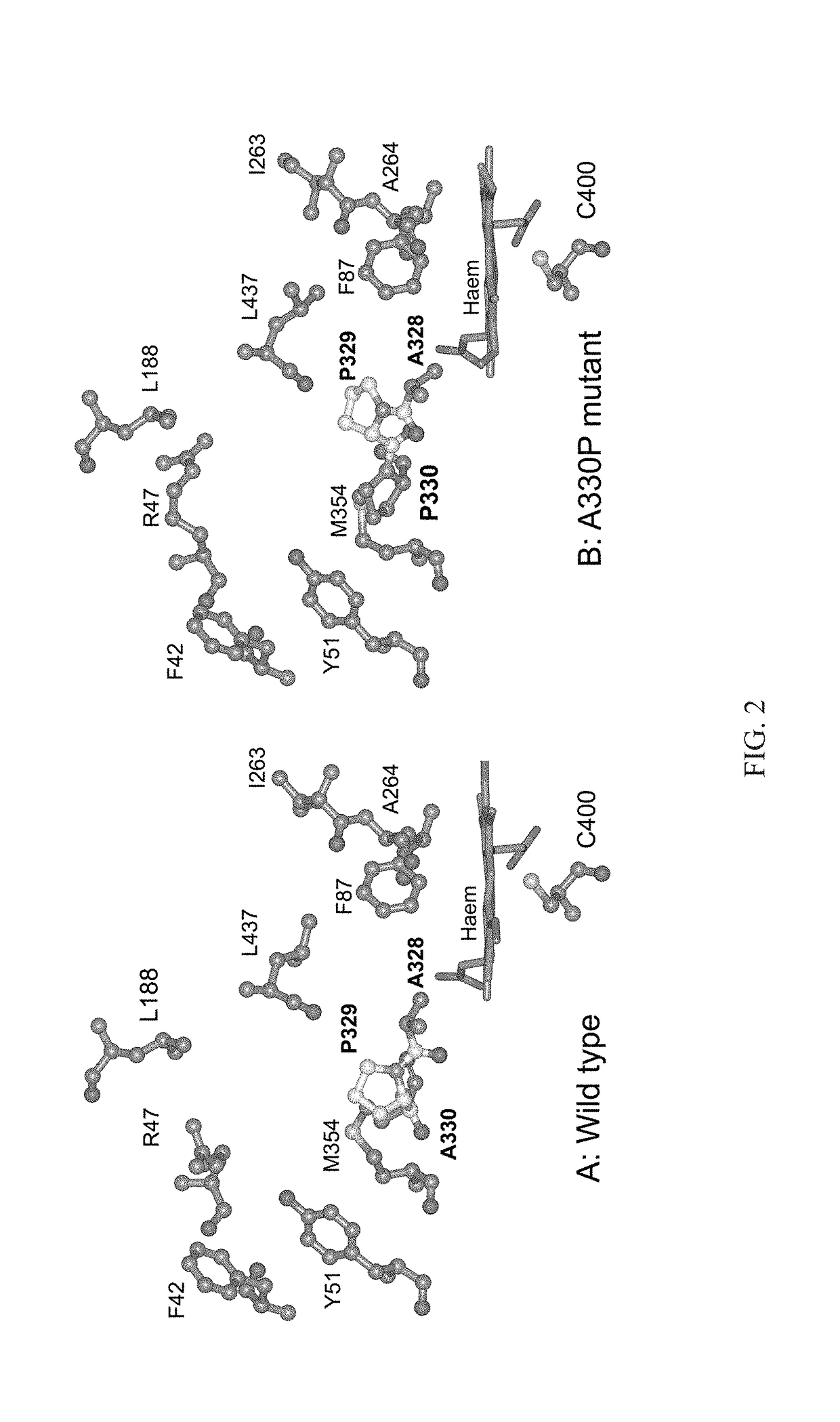 Mutant enzymes