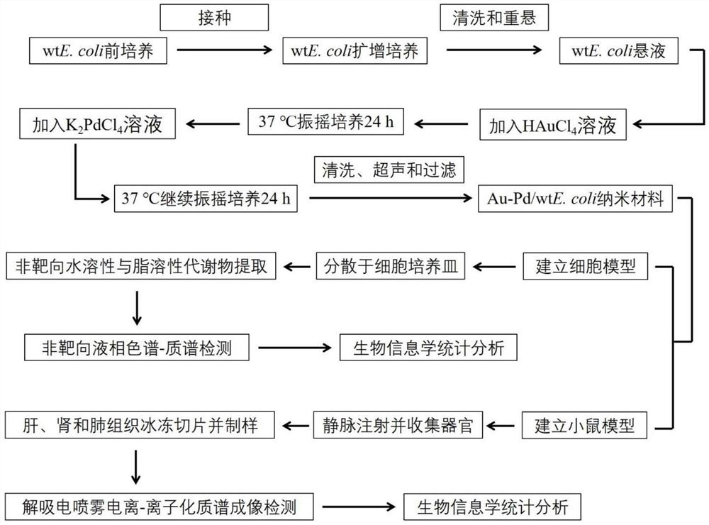 A metabolomic analysis method for au-pd/wte.coli nanomaterials