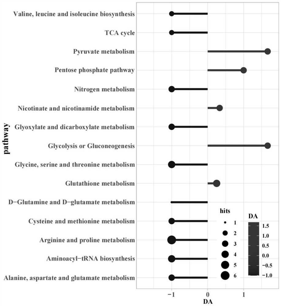 A metabolomic analysis method for au-pd/wte.coli nanomaterials