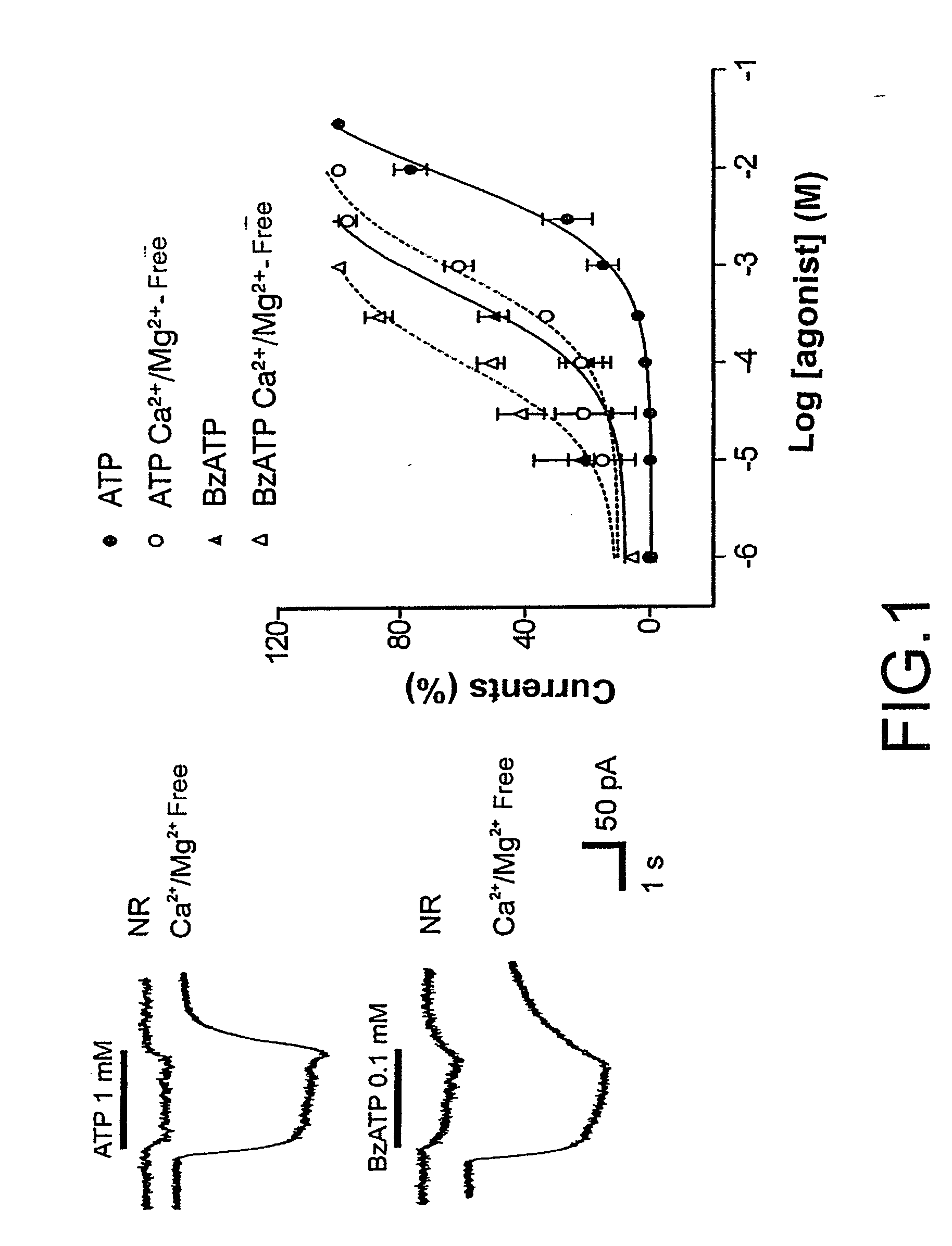 Compounds for the treatment of demyelinating and autoimmune diseases