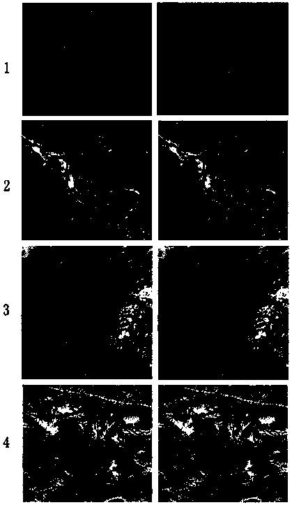 Global scale remote sensing image water body intelligent extraction method based on multiple indexes