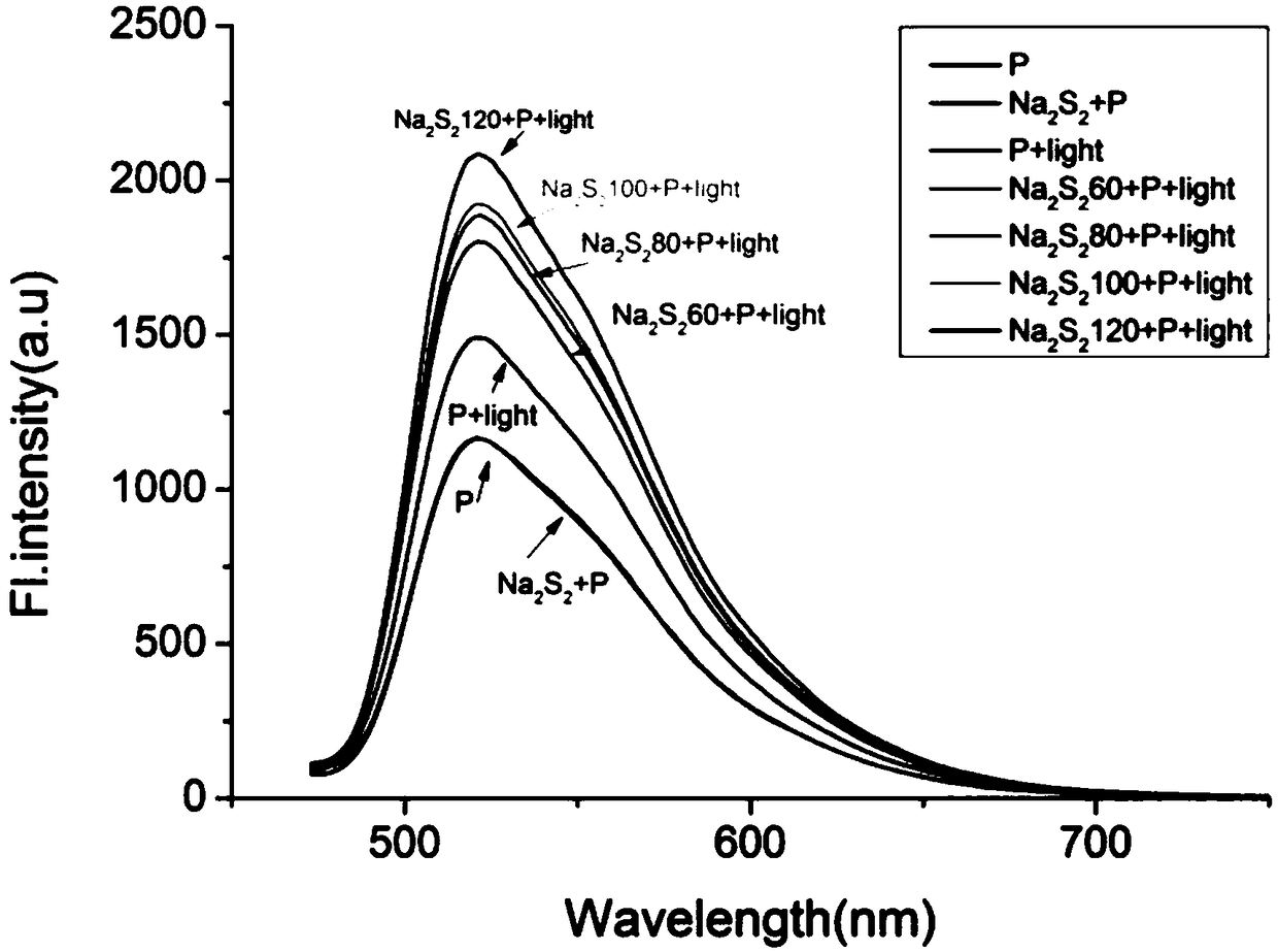 A fluorescent probe for accurately detecting H2S2 in mitochondria through light regulation, its preparation method and application