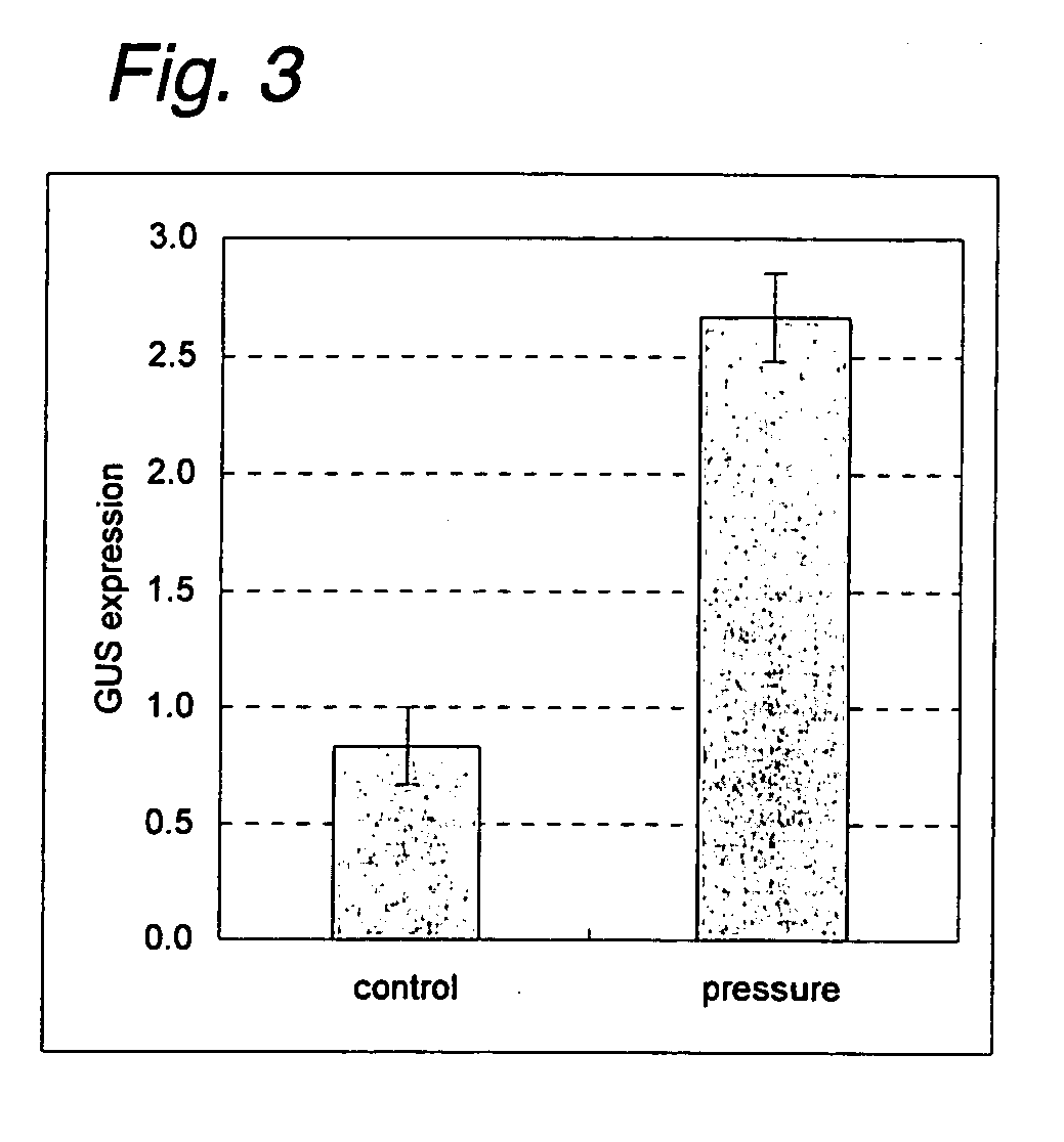 Method of transducing gene into plant material