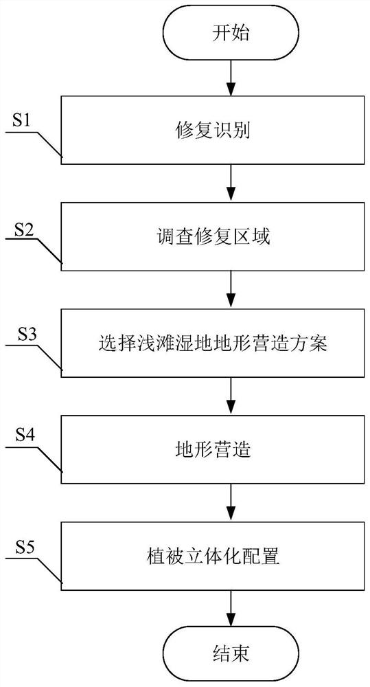 Shoal wetland construction method considering earthwork volume balance and habitat diversity