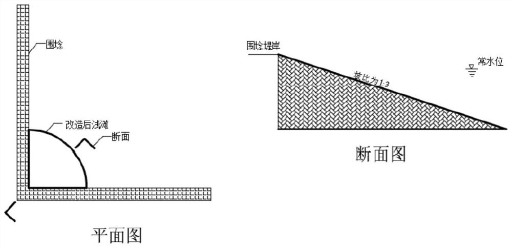 Shoal wetland construction method considering earthwork volume balance and habitat diversity