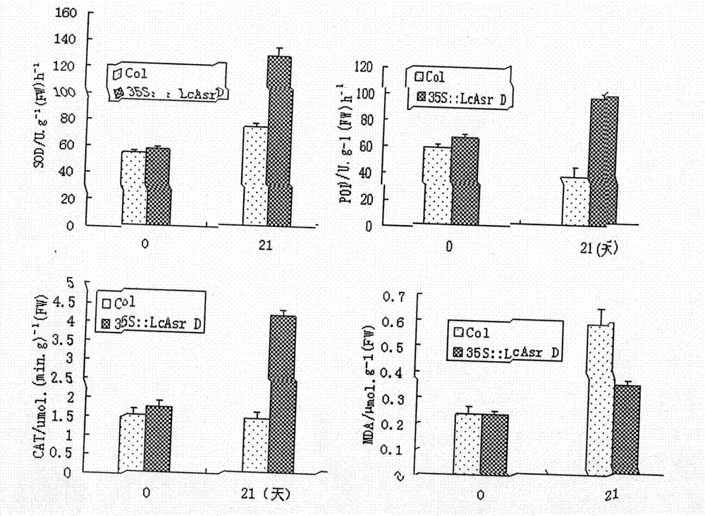 Gene for increasing plant drought resistance and salt resistance and enconding product and application thereof