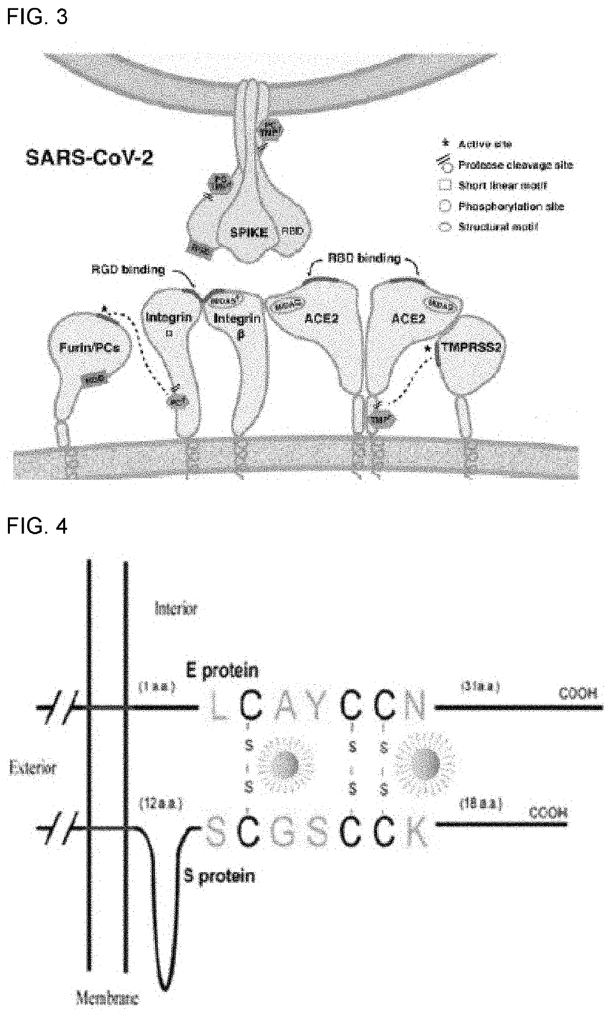 Method for preventing or treating infection of respiratory virus utilizing gold nanoparticles