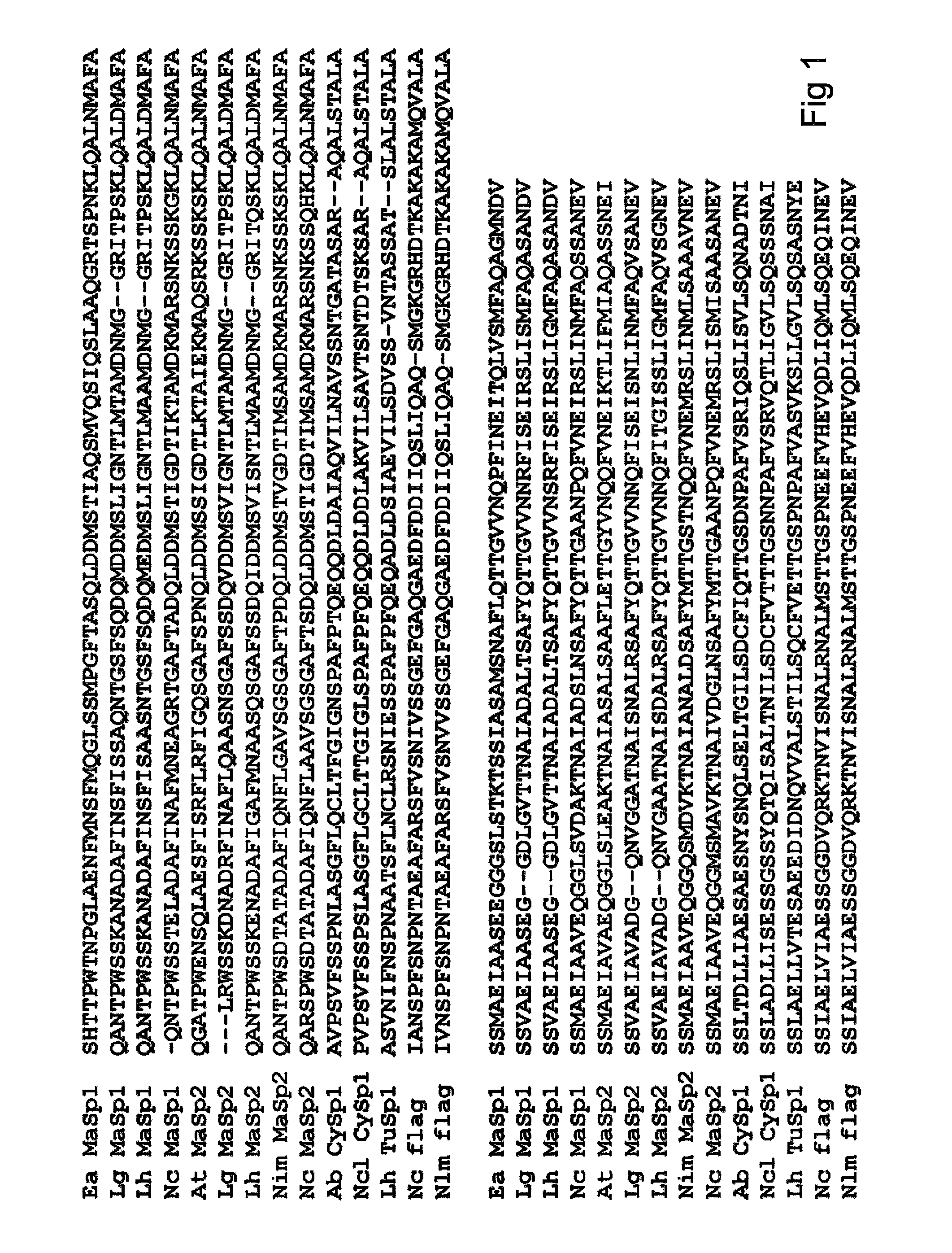 Method of producing polymers of spider silk proteins