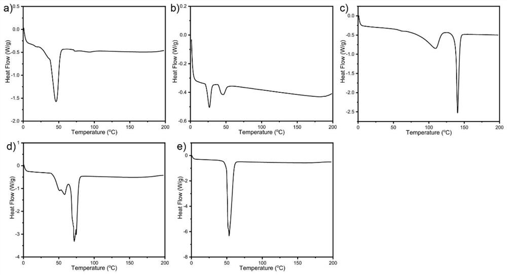 Lip-protecting composition containing novel phytosterol additive, and preparation method for lip-protecting composition